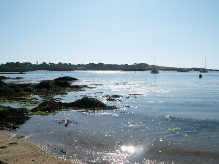 20070804 165105